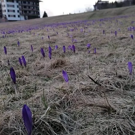 Ferienwohnung Donovaly Triangel A10 Mistriky Exterior foto