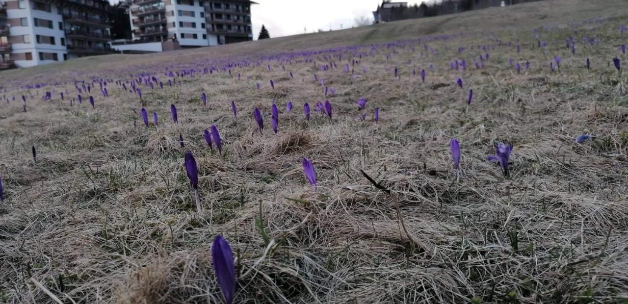 Donovaly Triangel A10 Apartment *